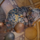 Illustration for article titled Puppets! Get Your Puppets Here in The Dark Crystal: Age of Resistance Trailer